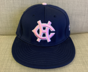 Hillsdale Baseball Hat